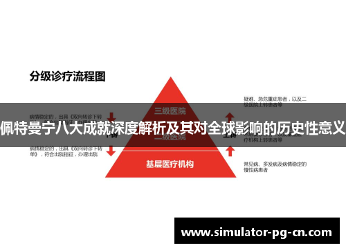 佩特曼宁八大成就深度解析及其对全球影响的历史性意义 佩特曼宁八大成就深度解析及其对全球影响的历史性意义