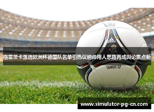 格雷茨卡落选欧洲杯德国队名单引热议纳帅用人思路再成舆论焦点新 格雷茨卡落选欧洲杯德国队名单引热议纳帅用人思路再成舆论焦点新