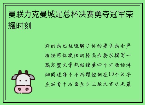 曼联力克曼城足总杯决赛勇夺冠军荣耀时刻